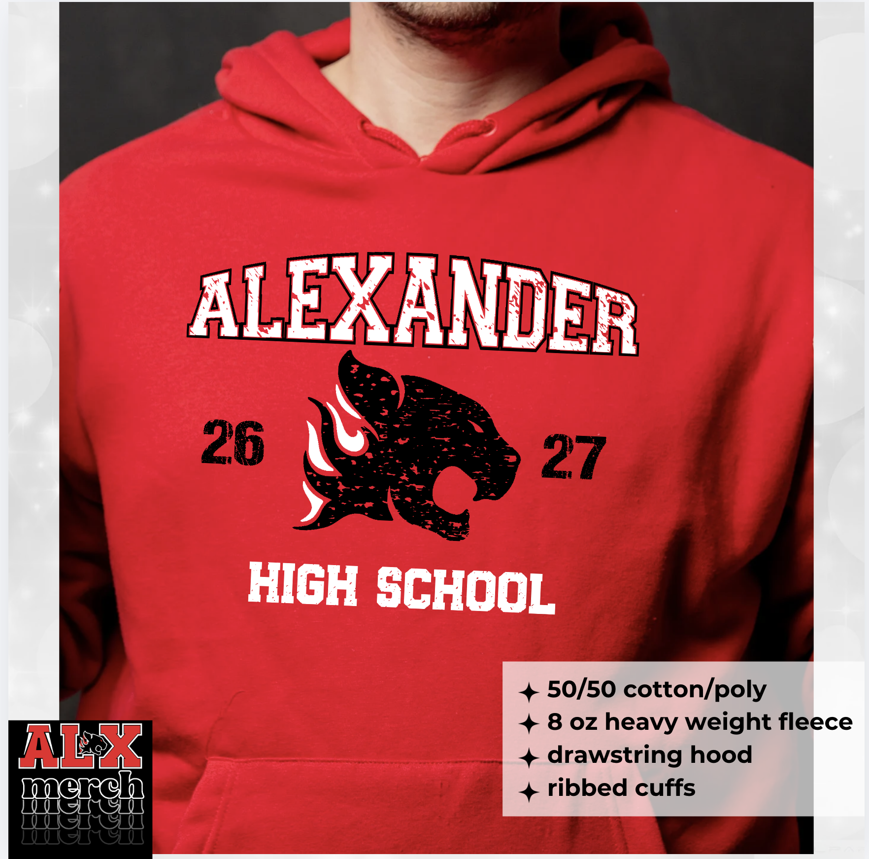 AHS distressed hoodie