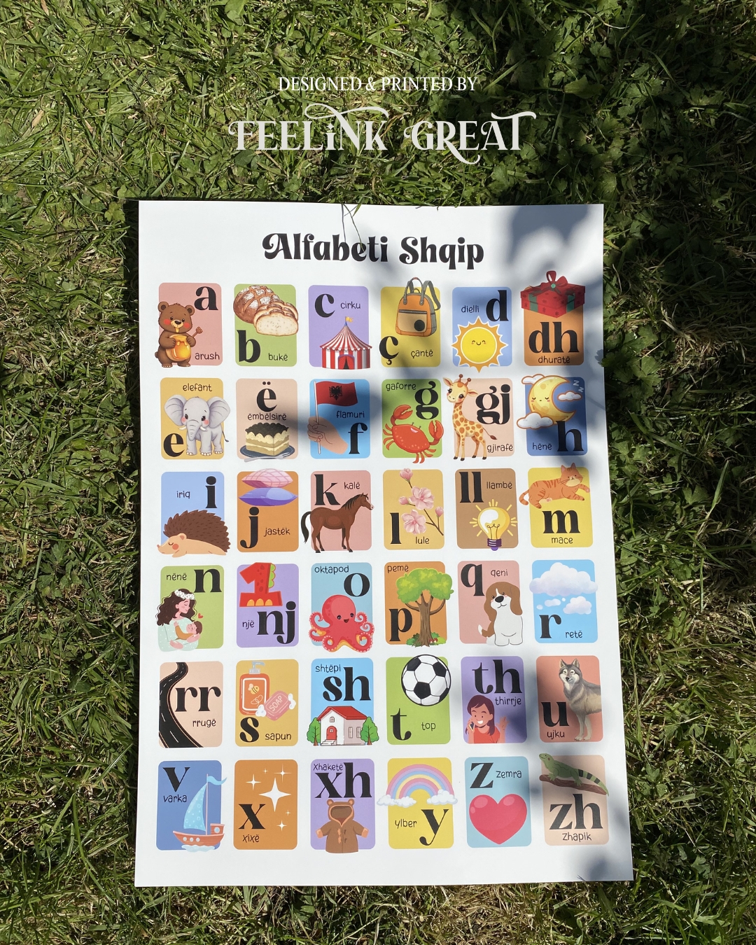 Alfabeti Shqip Educational Poster