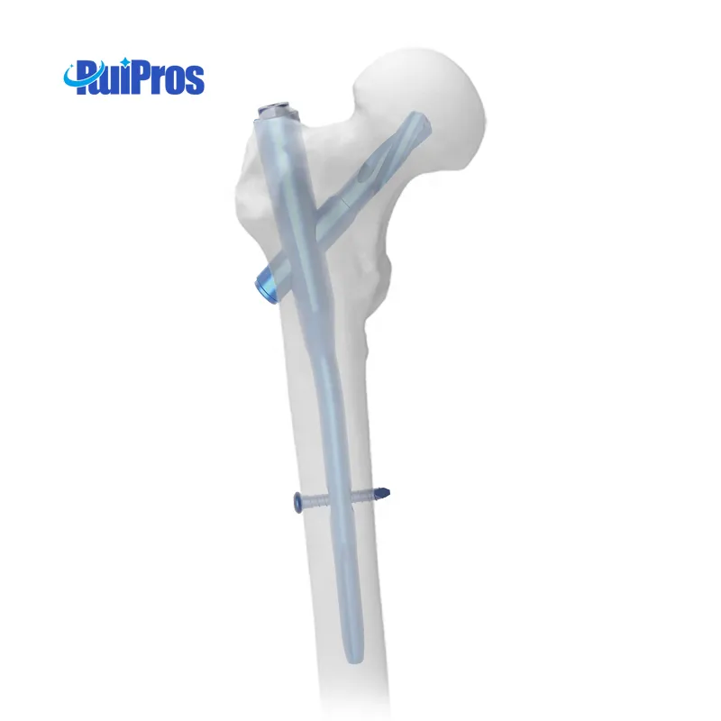 Titanium Self Tapping Cortical Screw F136 Surgical Orthopedic Veterinary Implants Cortical Bone Surgery Screws Bone Screws | ruipros