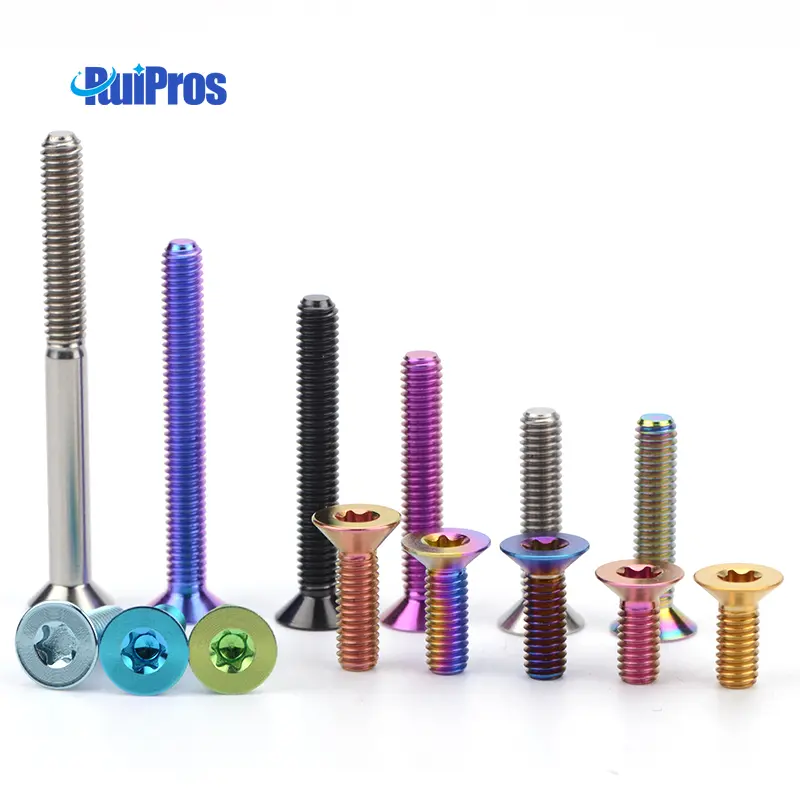 QuiPros Countersunk Torx Titanium Screw