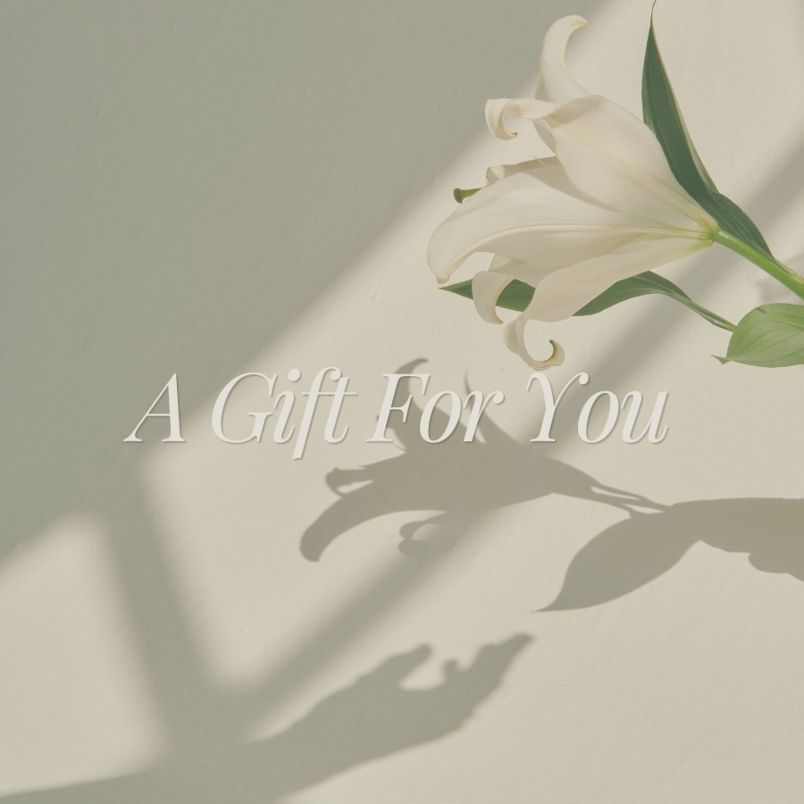 ✧ Gift Card ✧