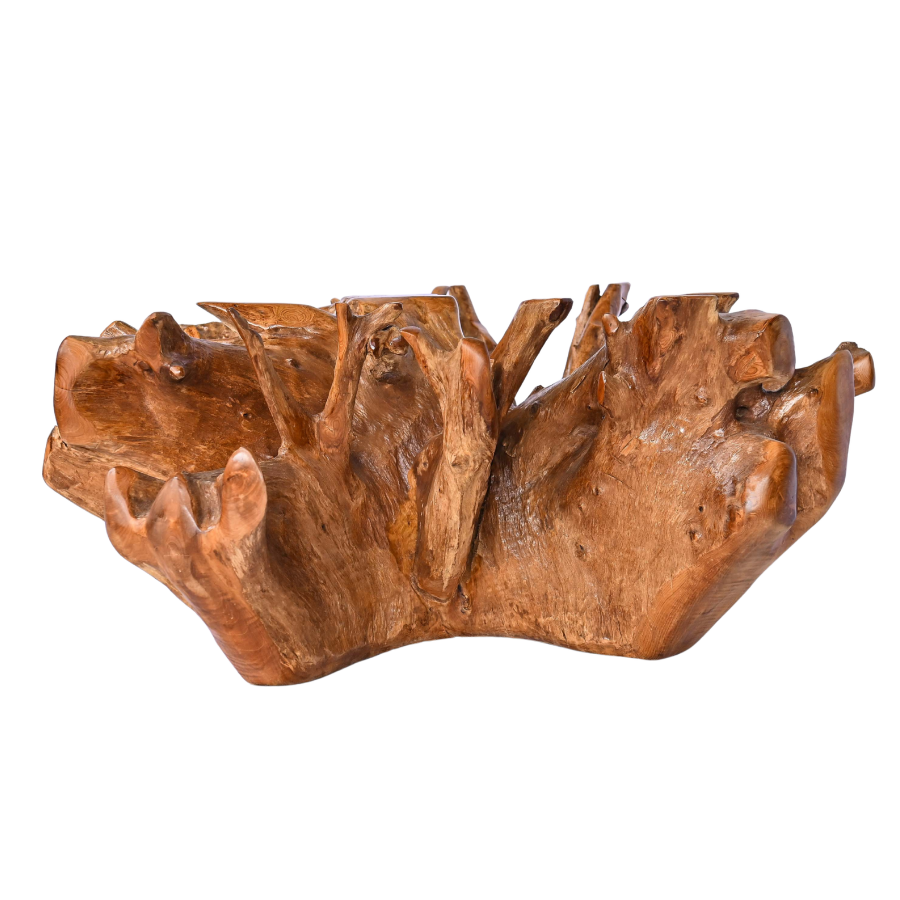 Grande table basse en racine naturelle