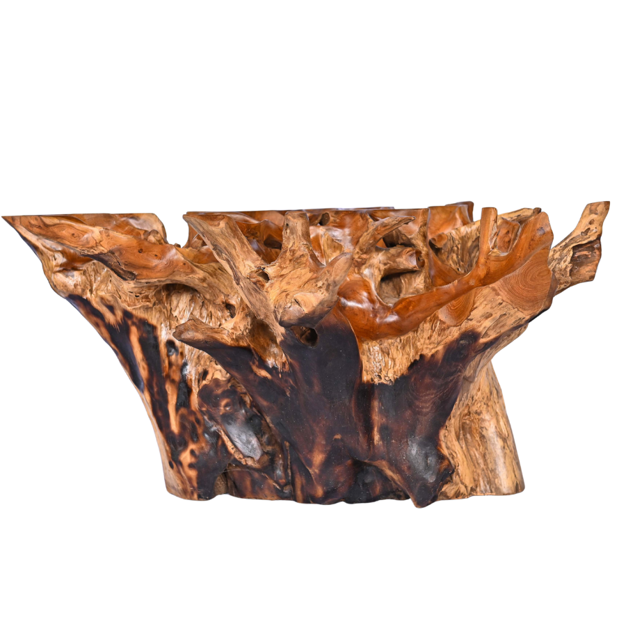 Table basse en racine naturelle – Petit modèle