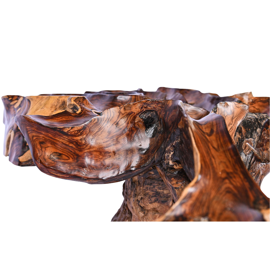 Table basse en racine naturelle