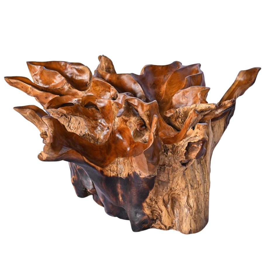 Table basse en racine naturelle – Petit modèle