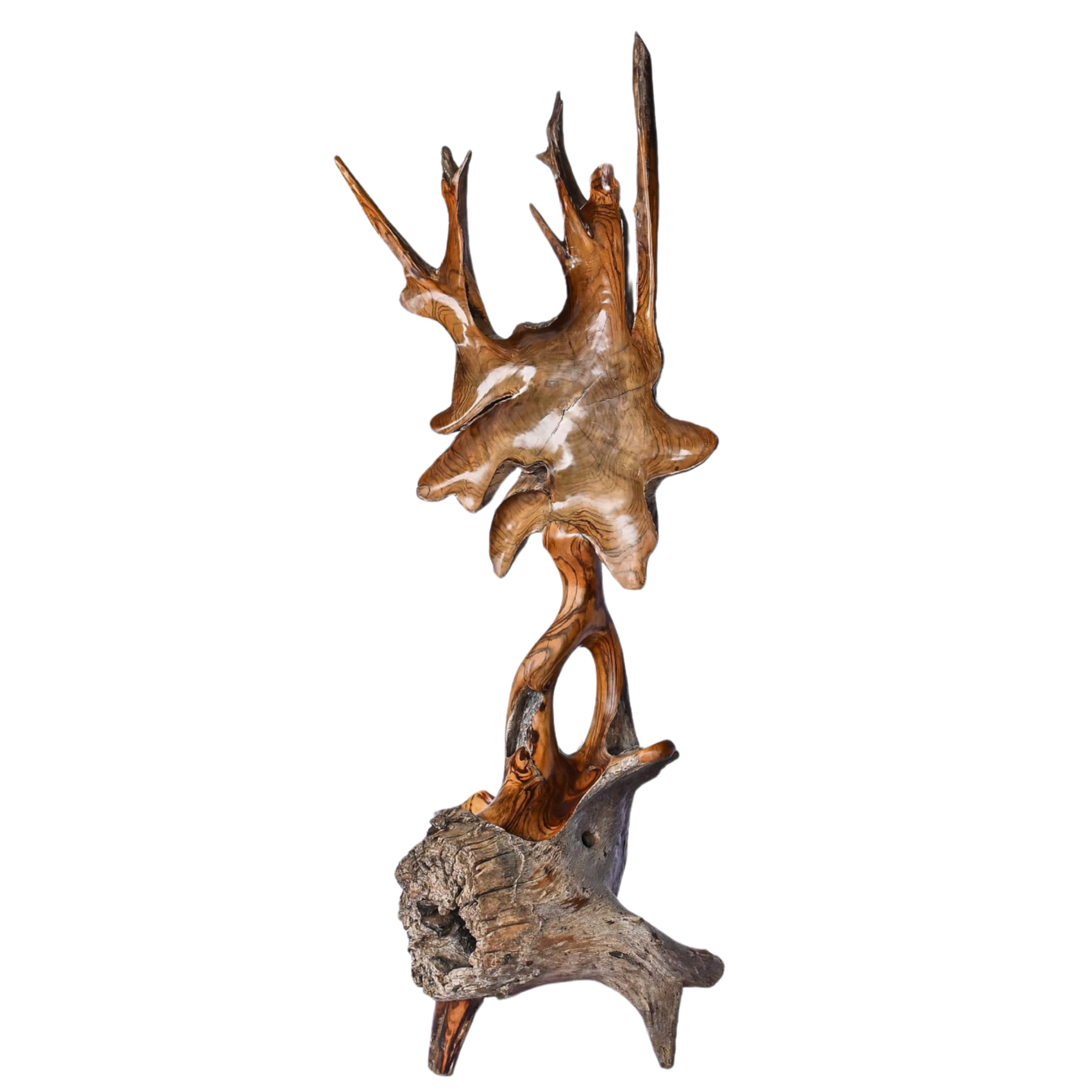  WOODE ROOT DECORATION