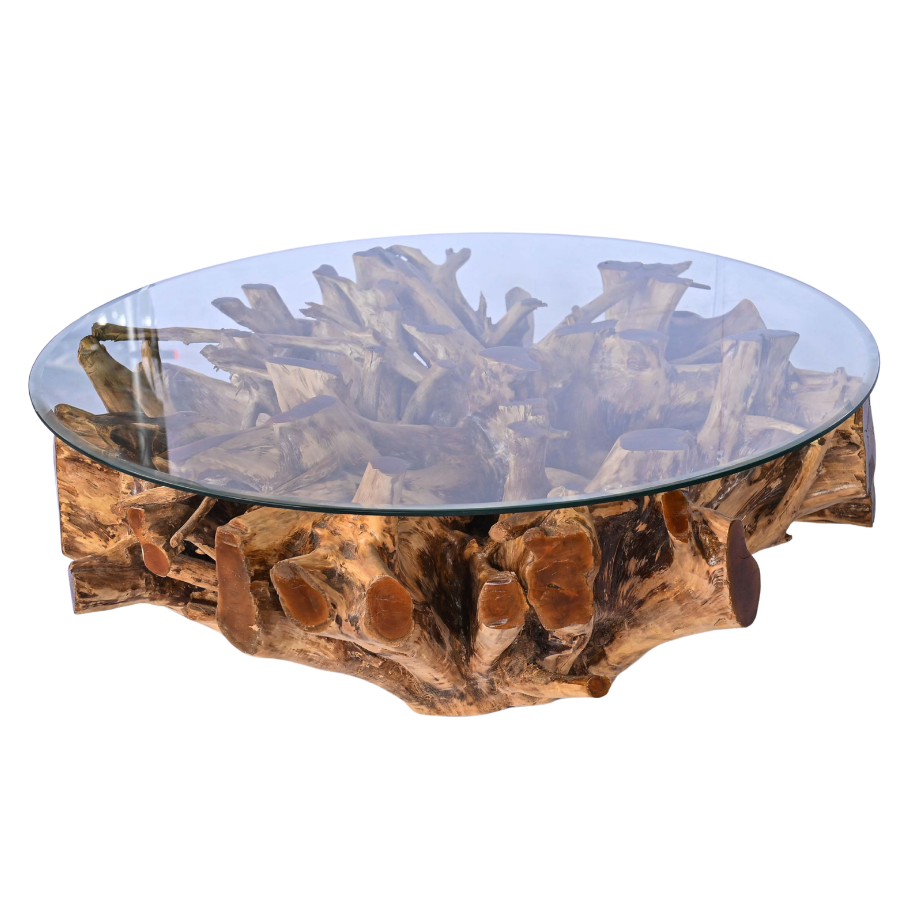 Grande table basse en racine naturelle