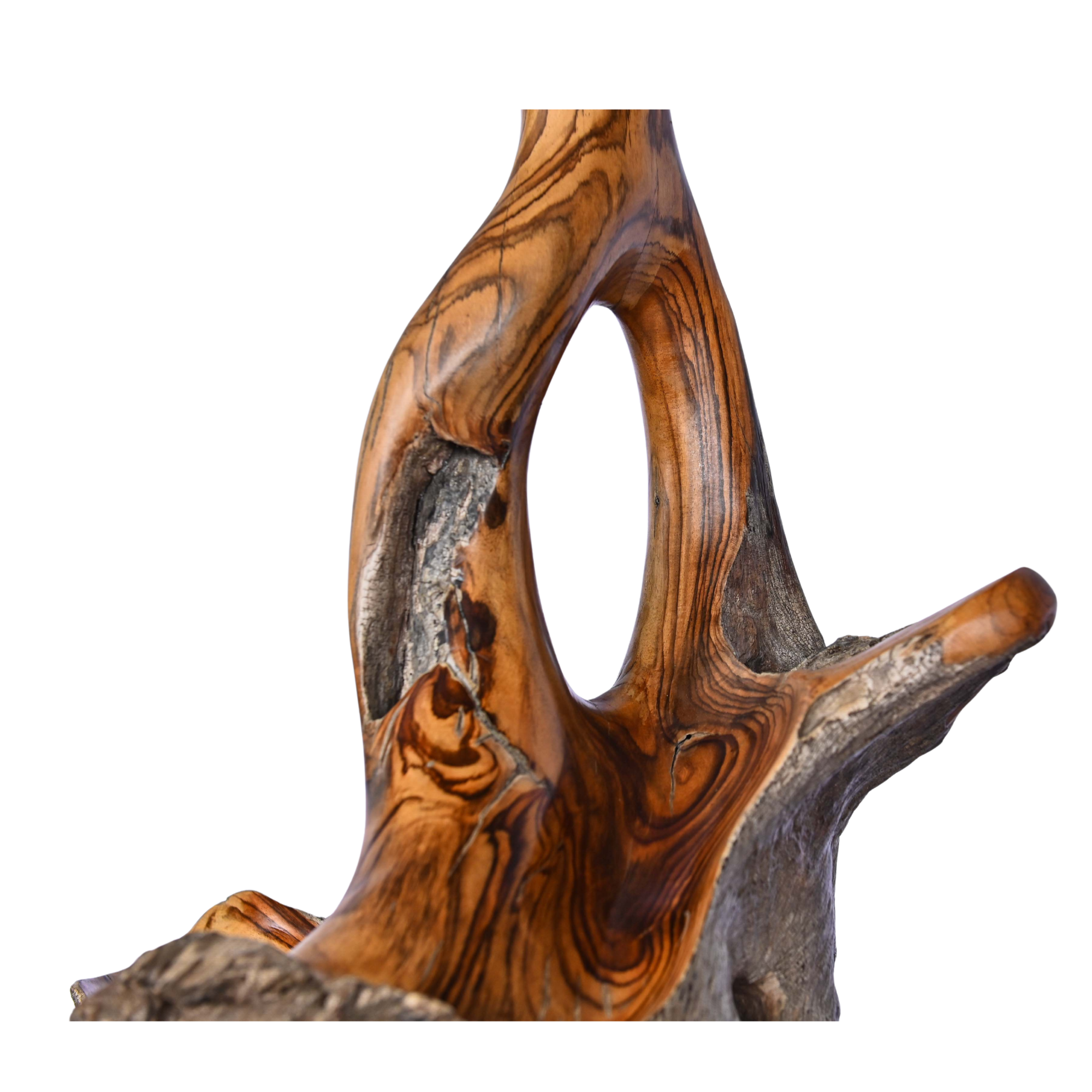  WOODE ROOT DECORATION