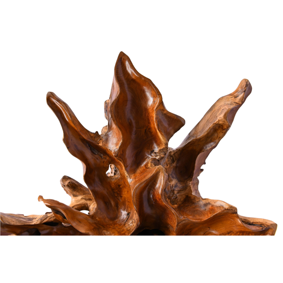 Table basse en racine naturelle – Petit modèle