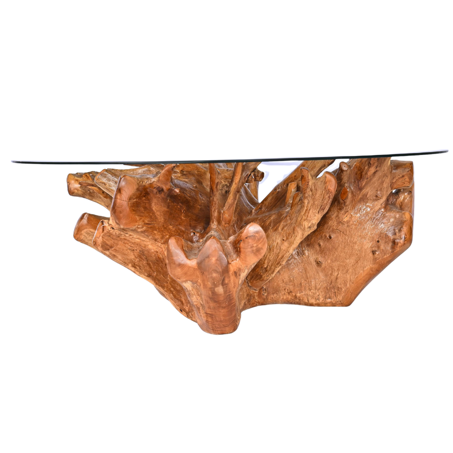 Grande table basse en racine naturelle