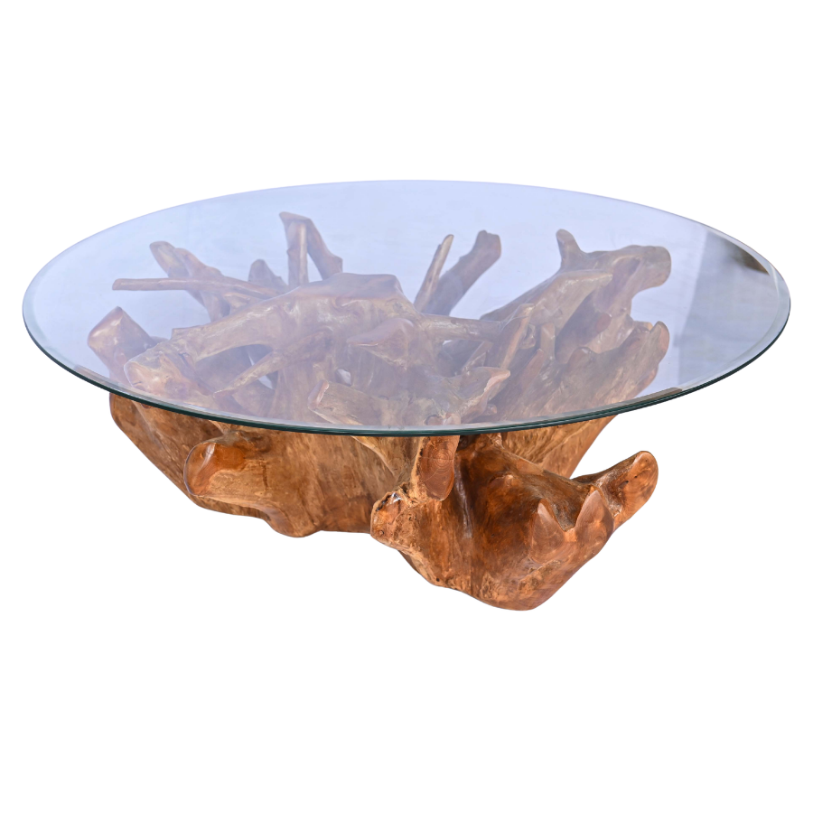 Grande table basse en racine naturelle