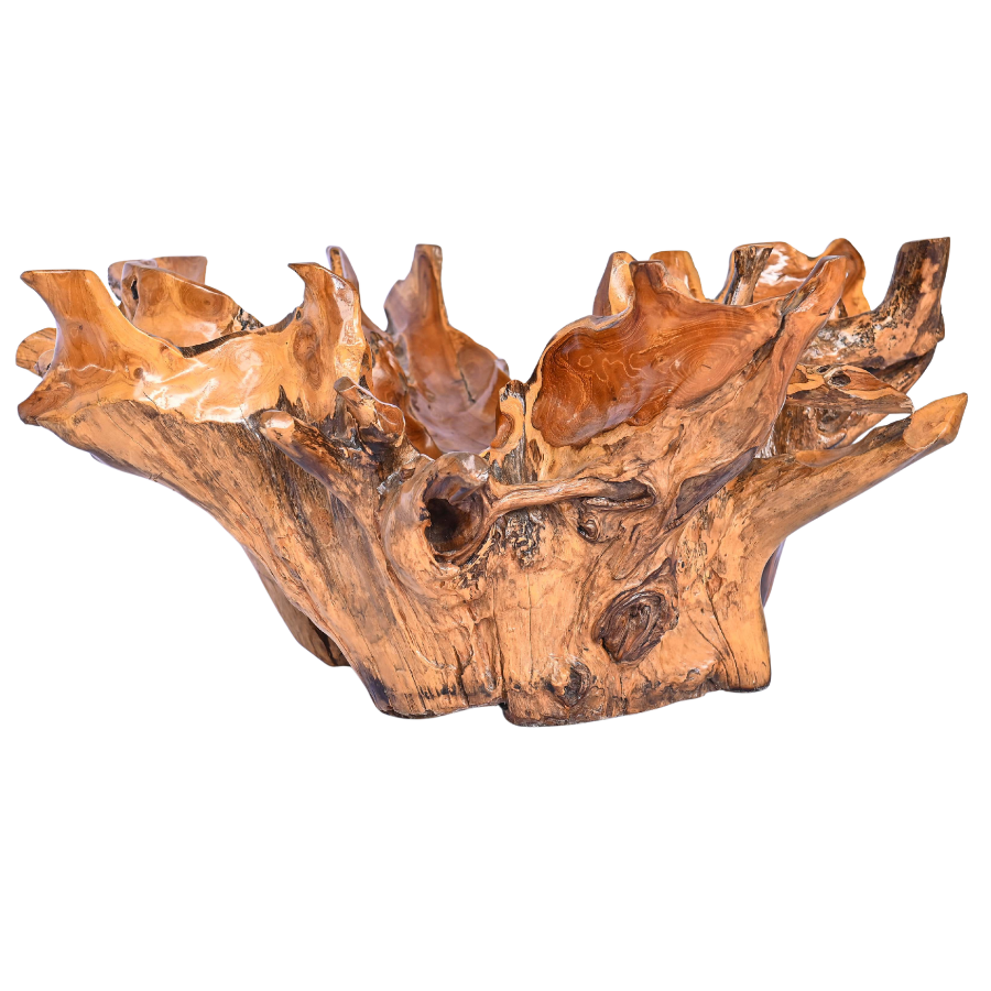 Table basse en racine naturelle