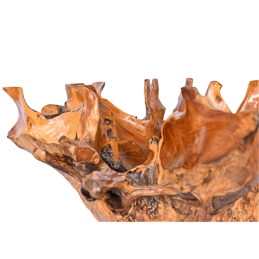 Table basse en racine naturelle
