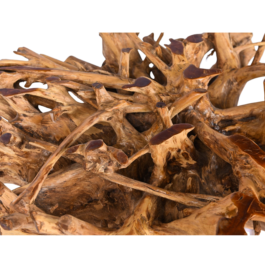 Grande table basse en racine naturelle