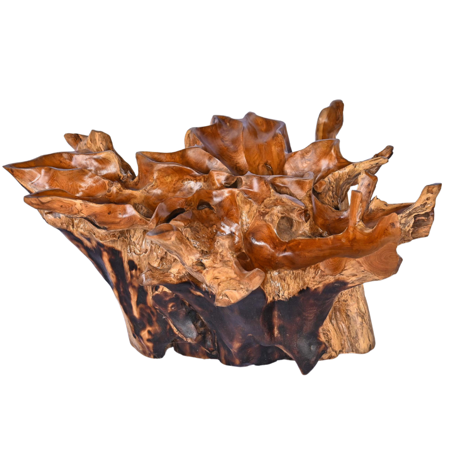 Table basse en racine naturelle – Petit modèle