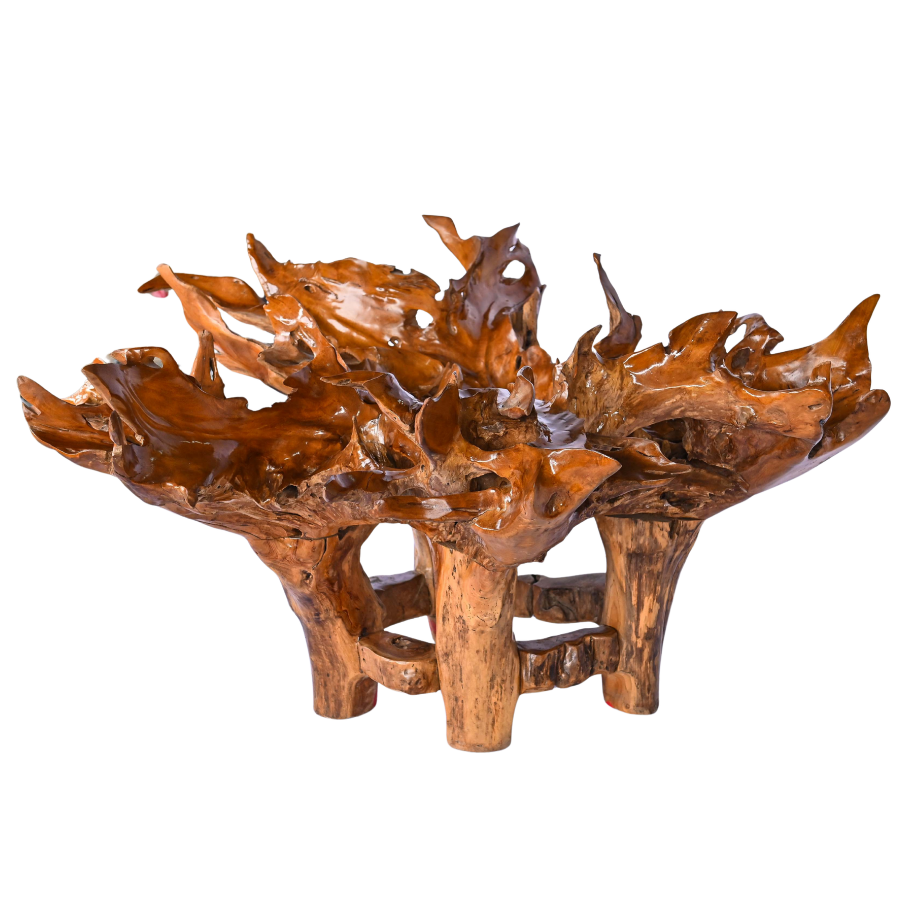 Table à manger ronde en racine de bois