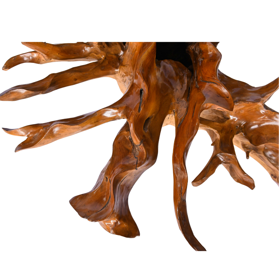 Table basse en racine naturelle – Très grand modèle