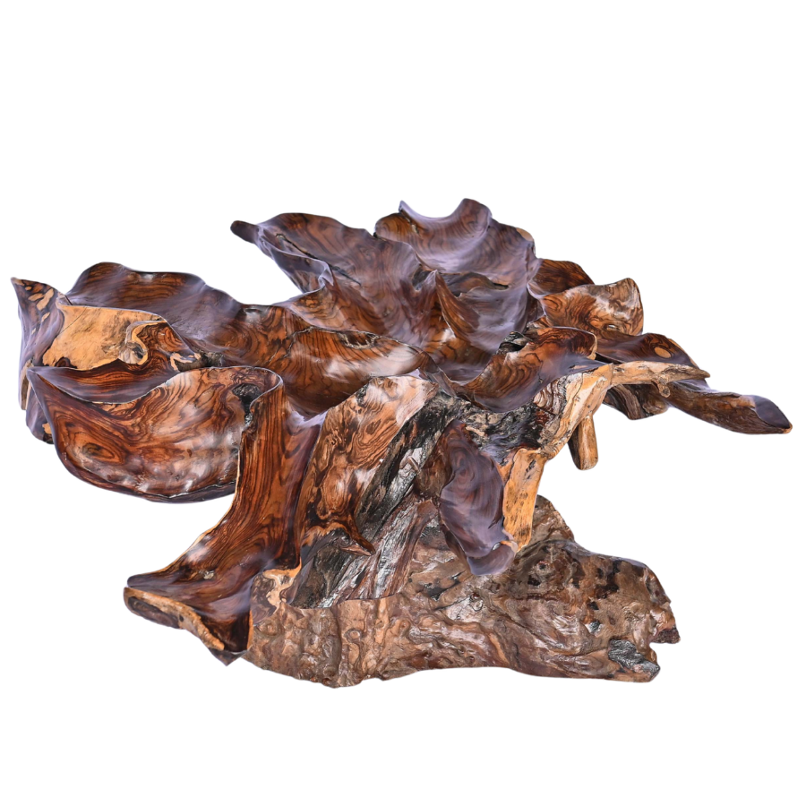 Table basse en racine naturelle
