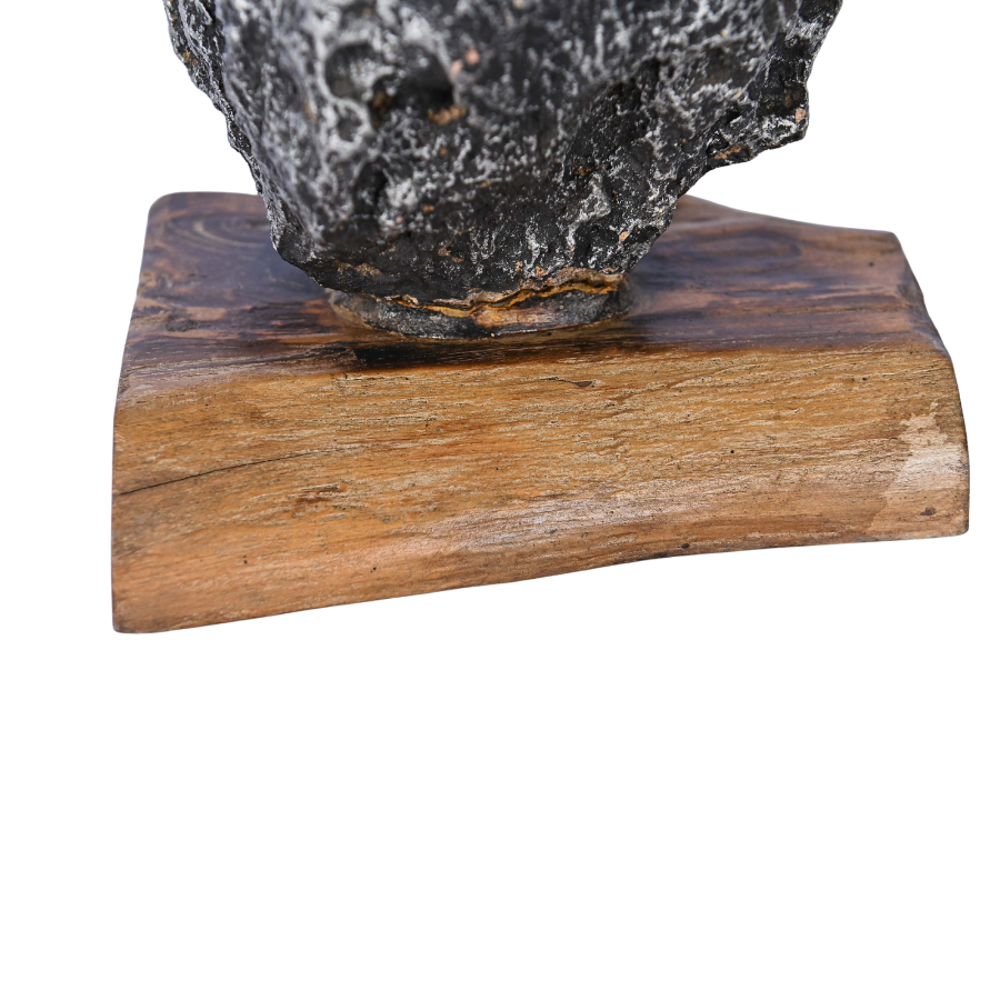 Coral stone