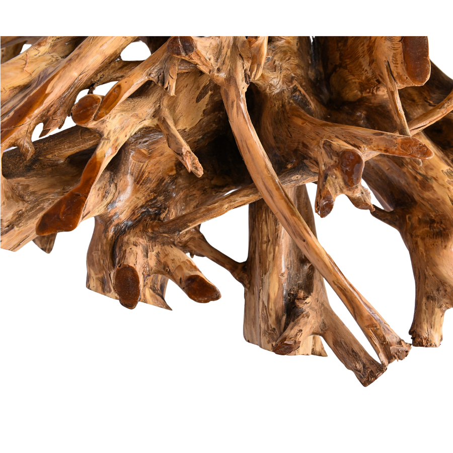 Grande table basse en racine naturelle