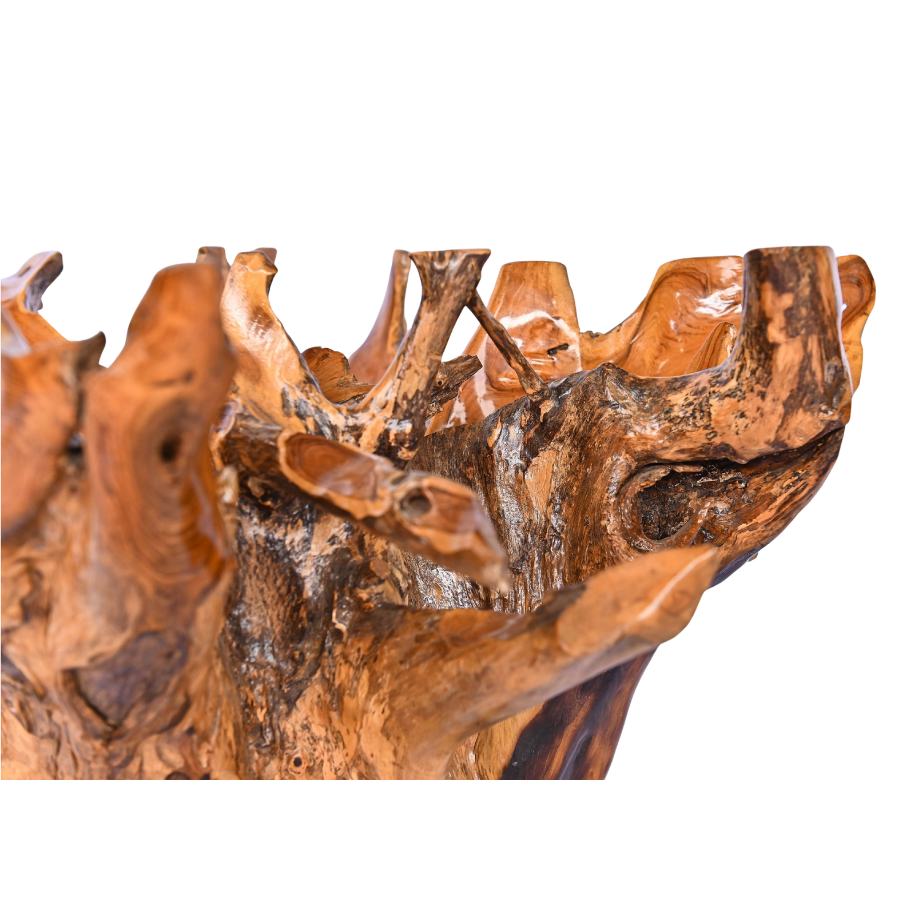 Table basse en racine naturelle