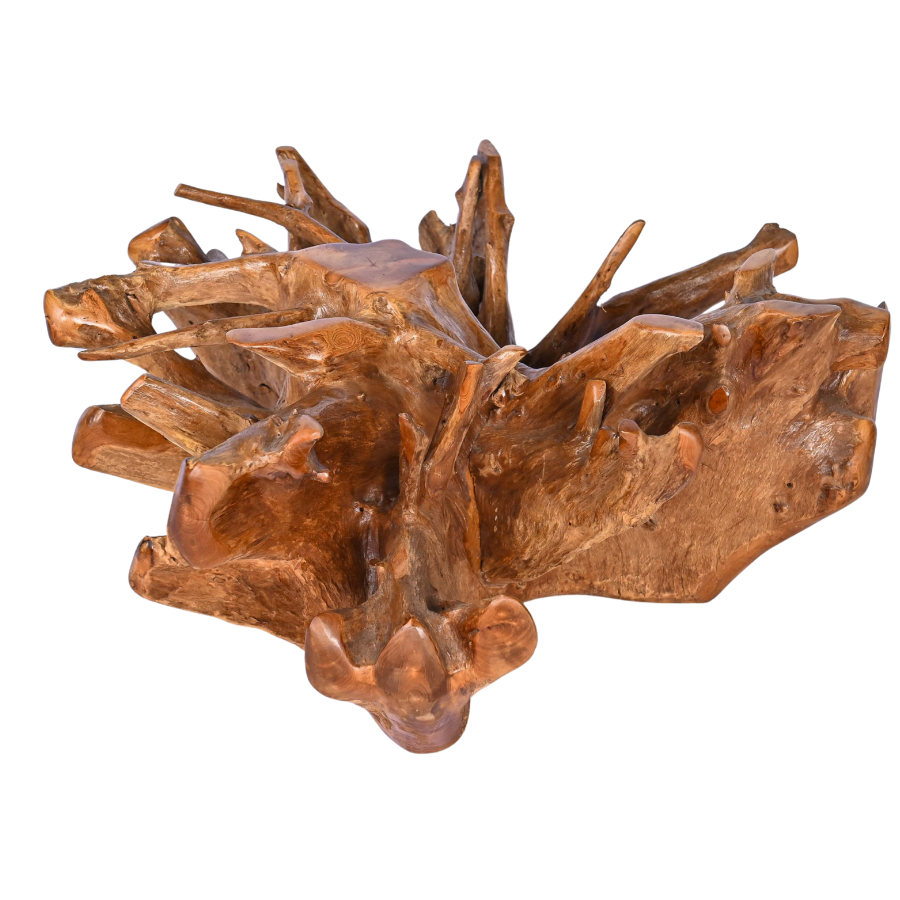Grande table basse en racine naturelle