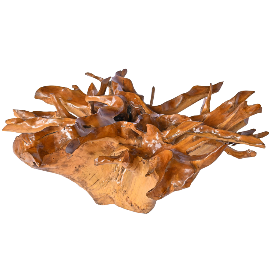 Table basse en racine naturelle – Très grand modèle