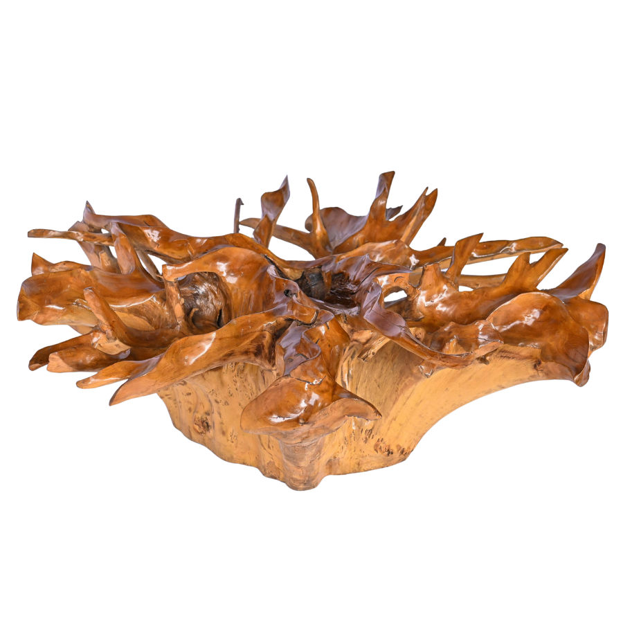 Table basse en racine naturelle – Très grand modèle