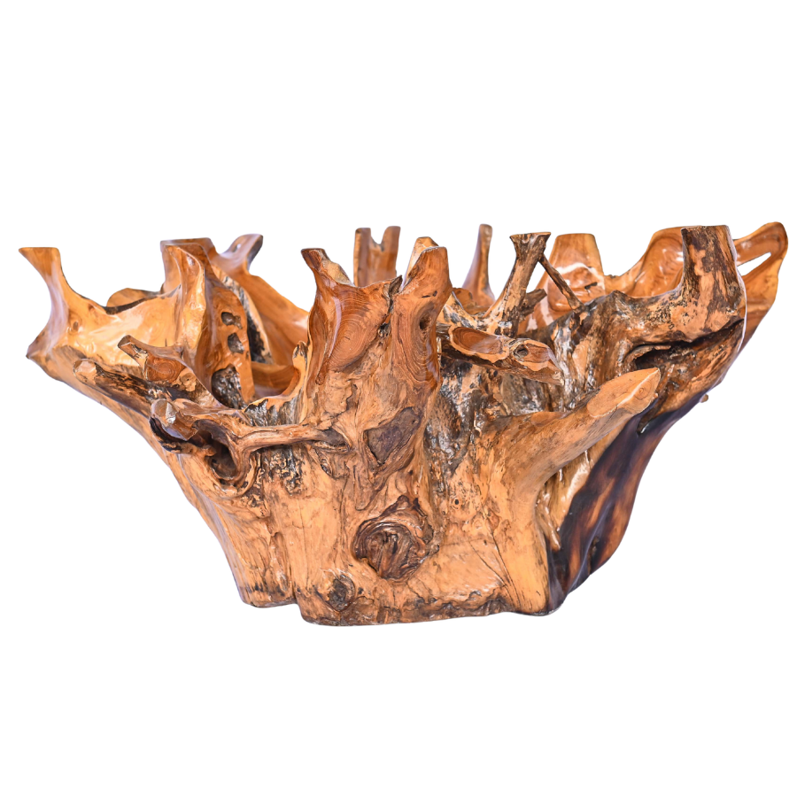 Table basse en racine naturelle