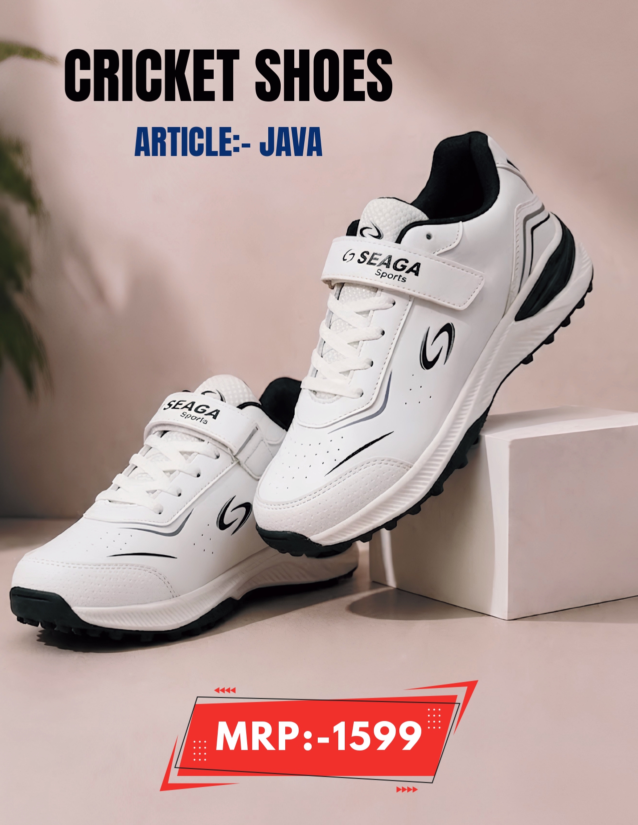 Cricket Shoes (Note: send me image)