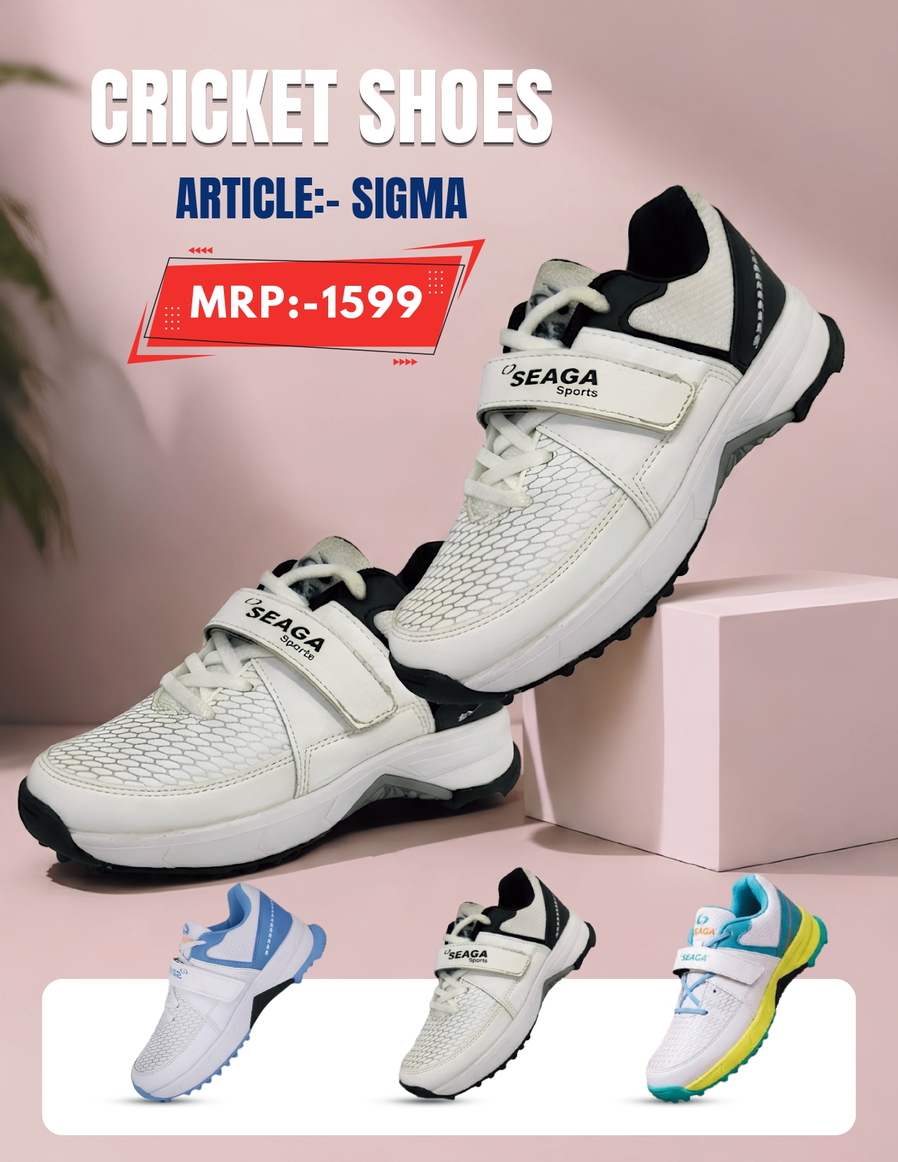 Cricket Shoes (Note: send me image)