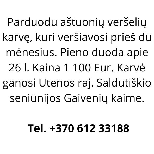 Parduodu karvę. Tel. +370 612 33188