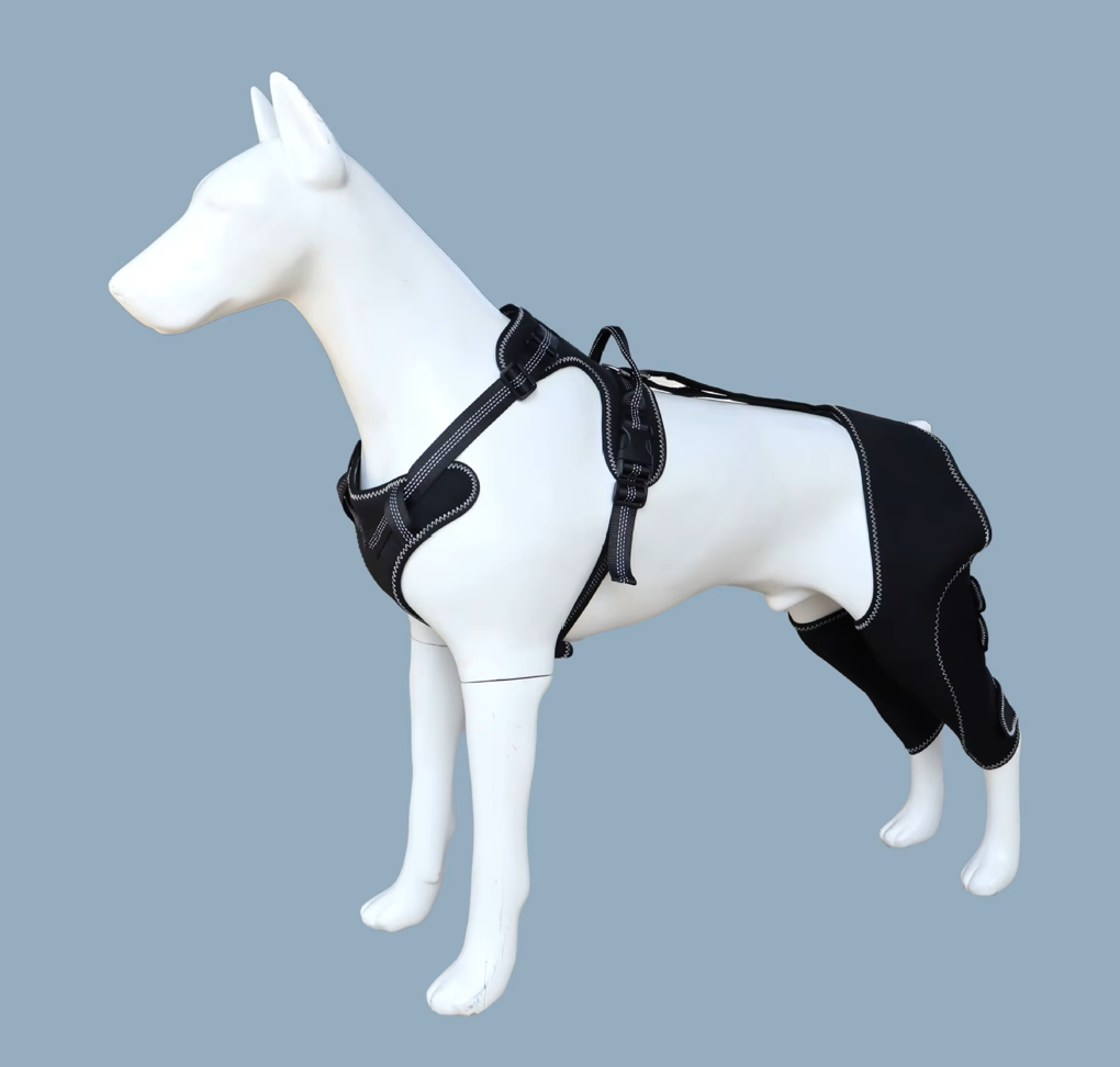 Dog Hip Support Harness