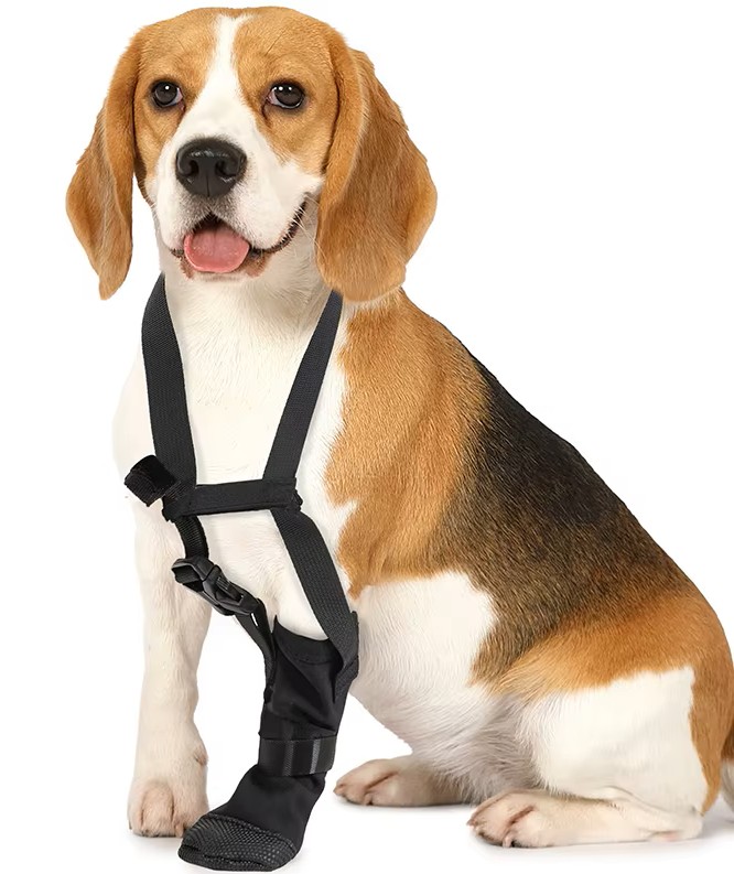 Dog Leg Brace Support