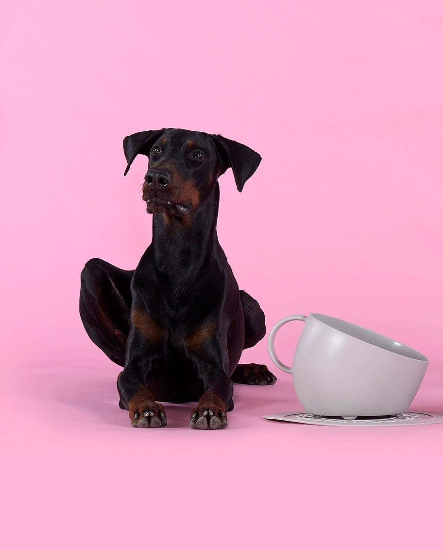 Design hondenkom met anti-slip mat 