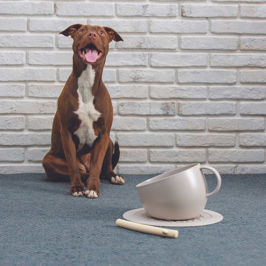 Design hondenkom met anti-slip mat 