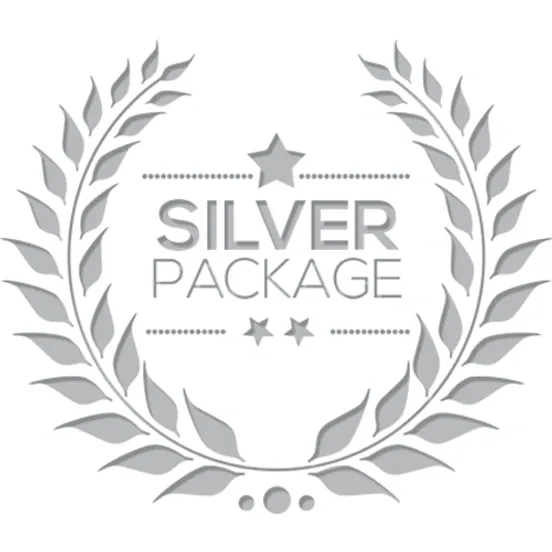 Silver Car Detailing 
