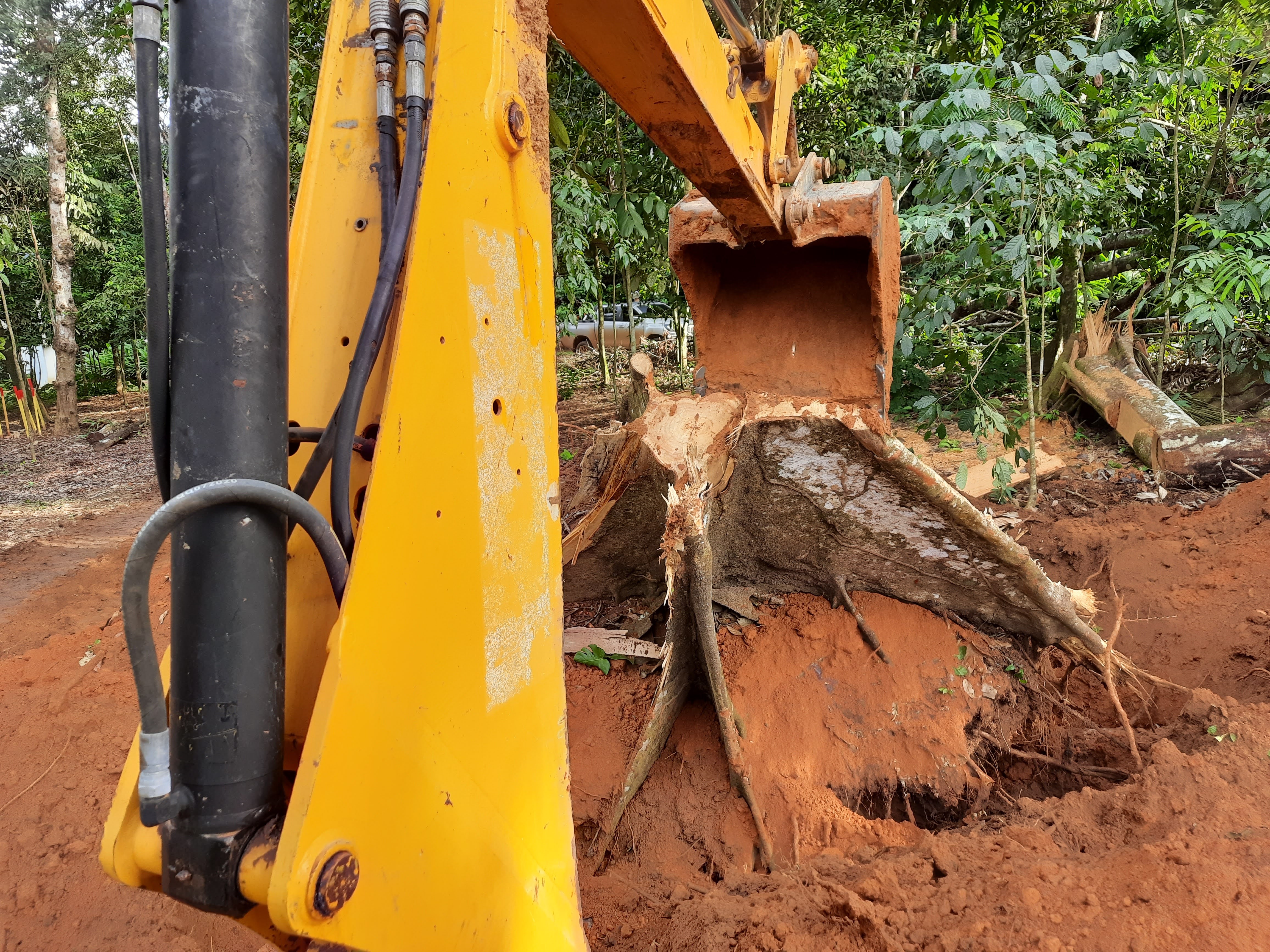 Limpeza mecanizada de Terreno