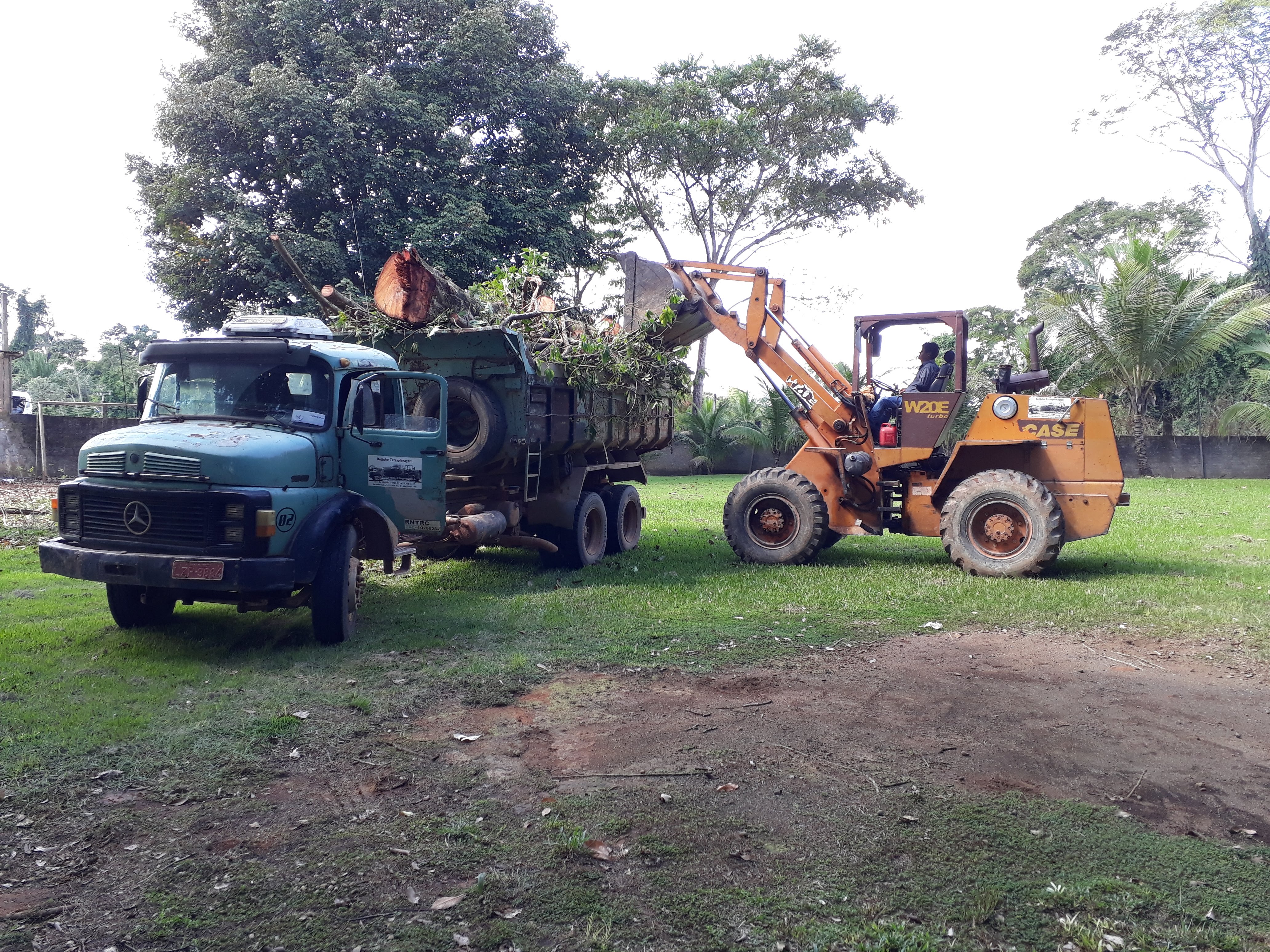 Limpeza mecanizada de Terreno