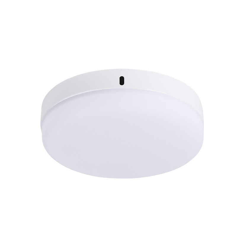 LED Ceiling Light