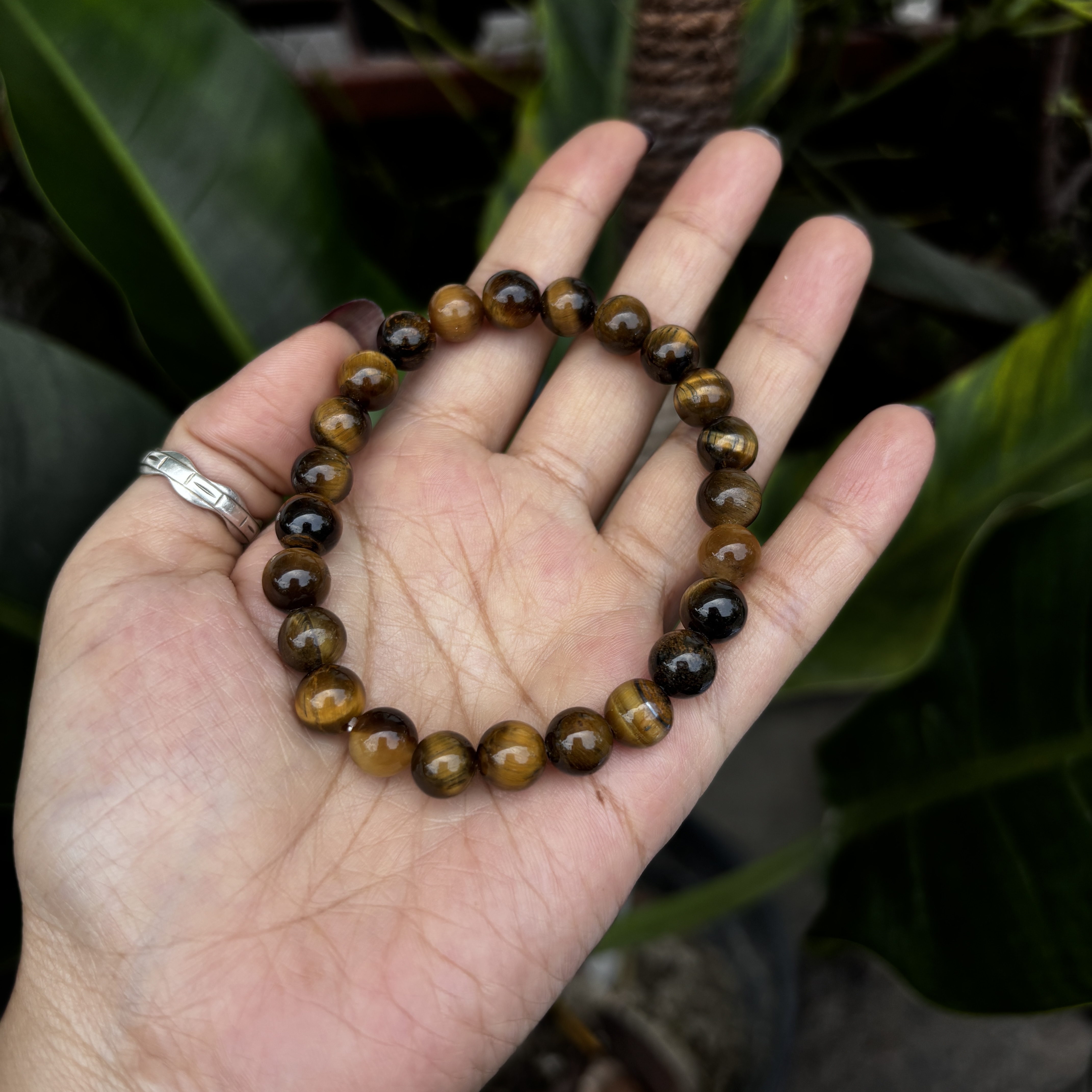 TIGER EYE