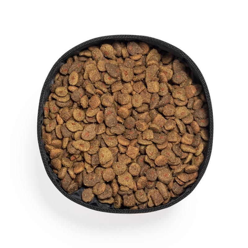 Gamelle pliable pour chien ou chat personnalisé par gravure