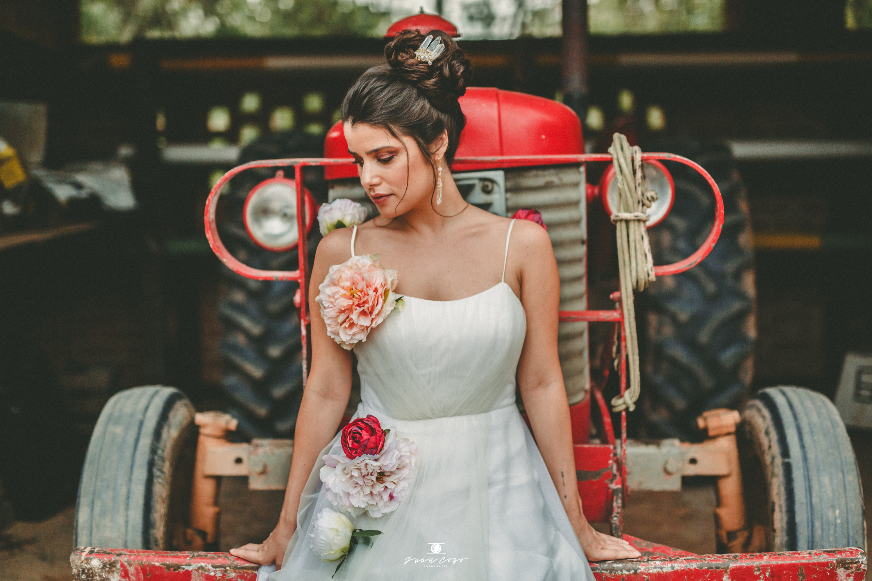 Vestido Lis Tamanho 38