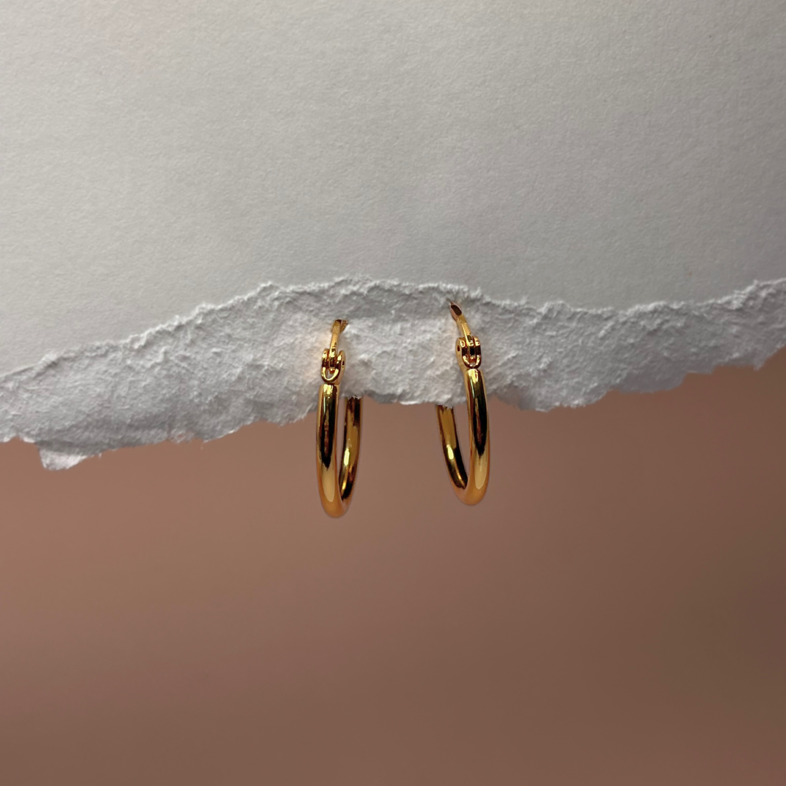 Small Hoop Earrings