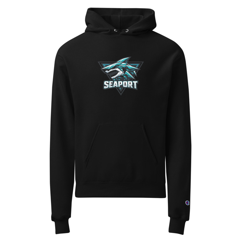 Unisex Champion hoodie 