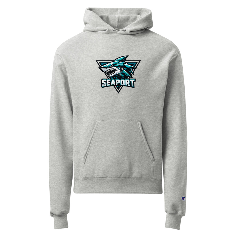 Unisex Champion hoodie 