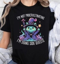 I'm not procrastinating Im doing side quests wizard cat