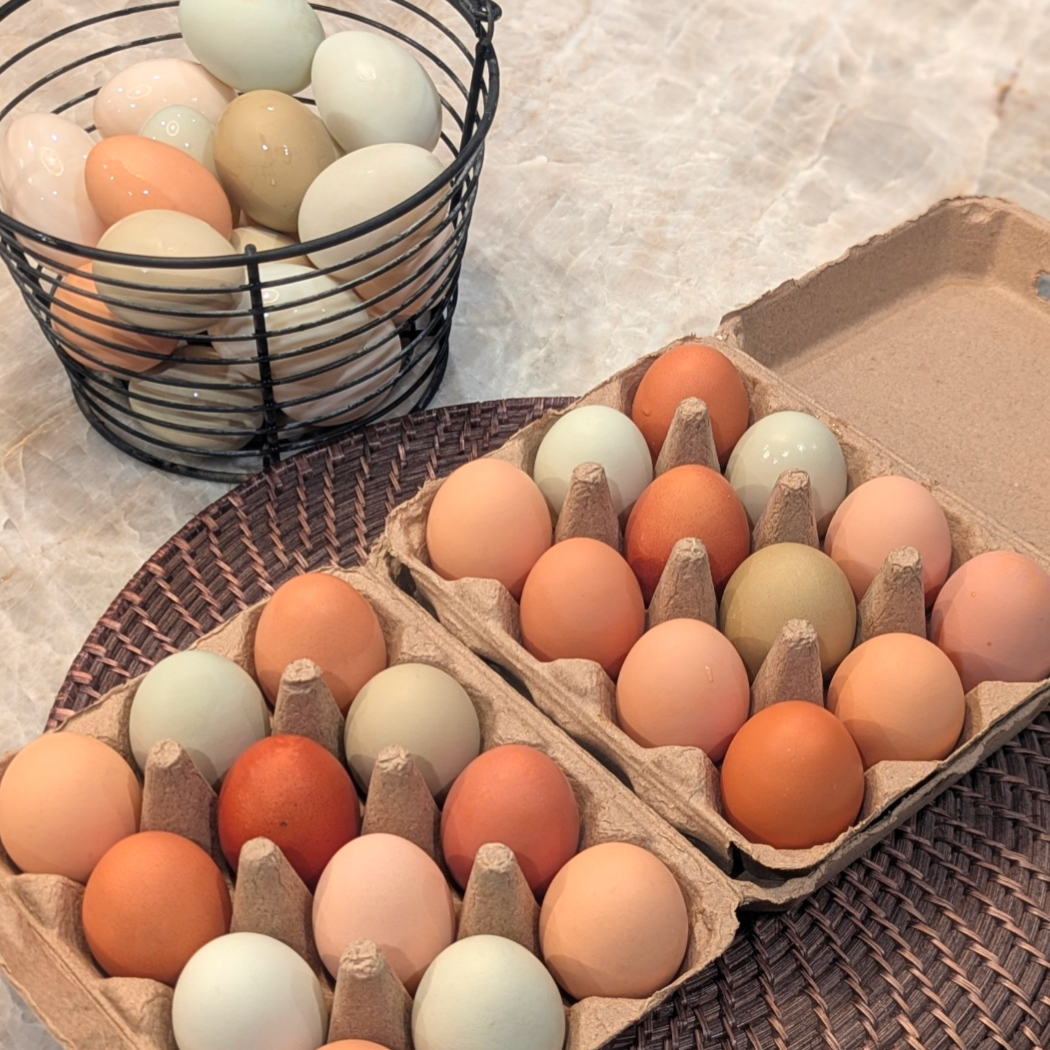Chicken Eggs (1 Doz)