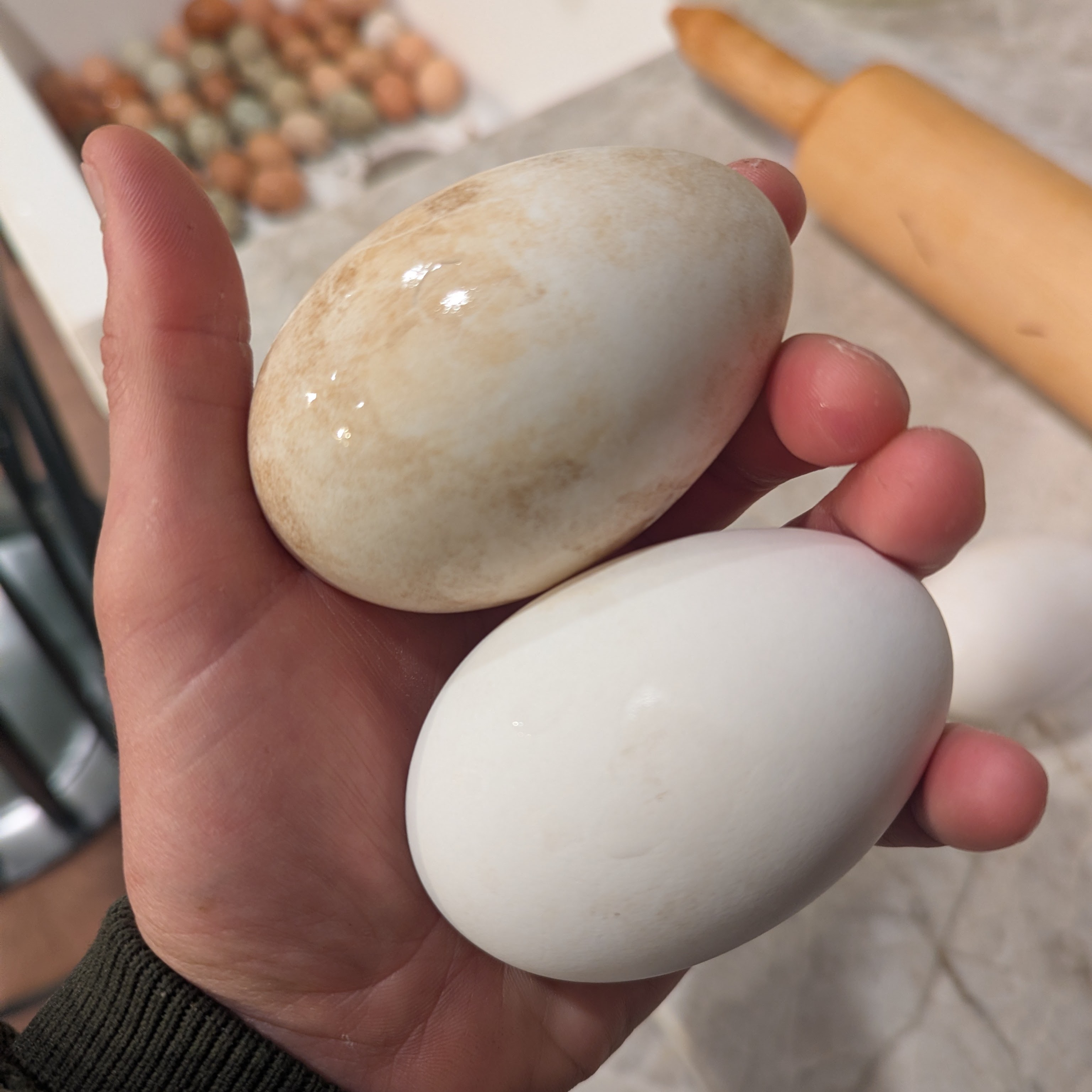 Goose Egg