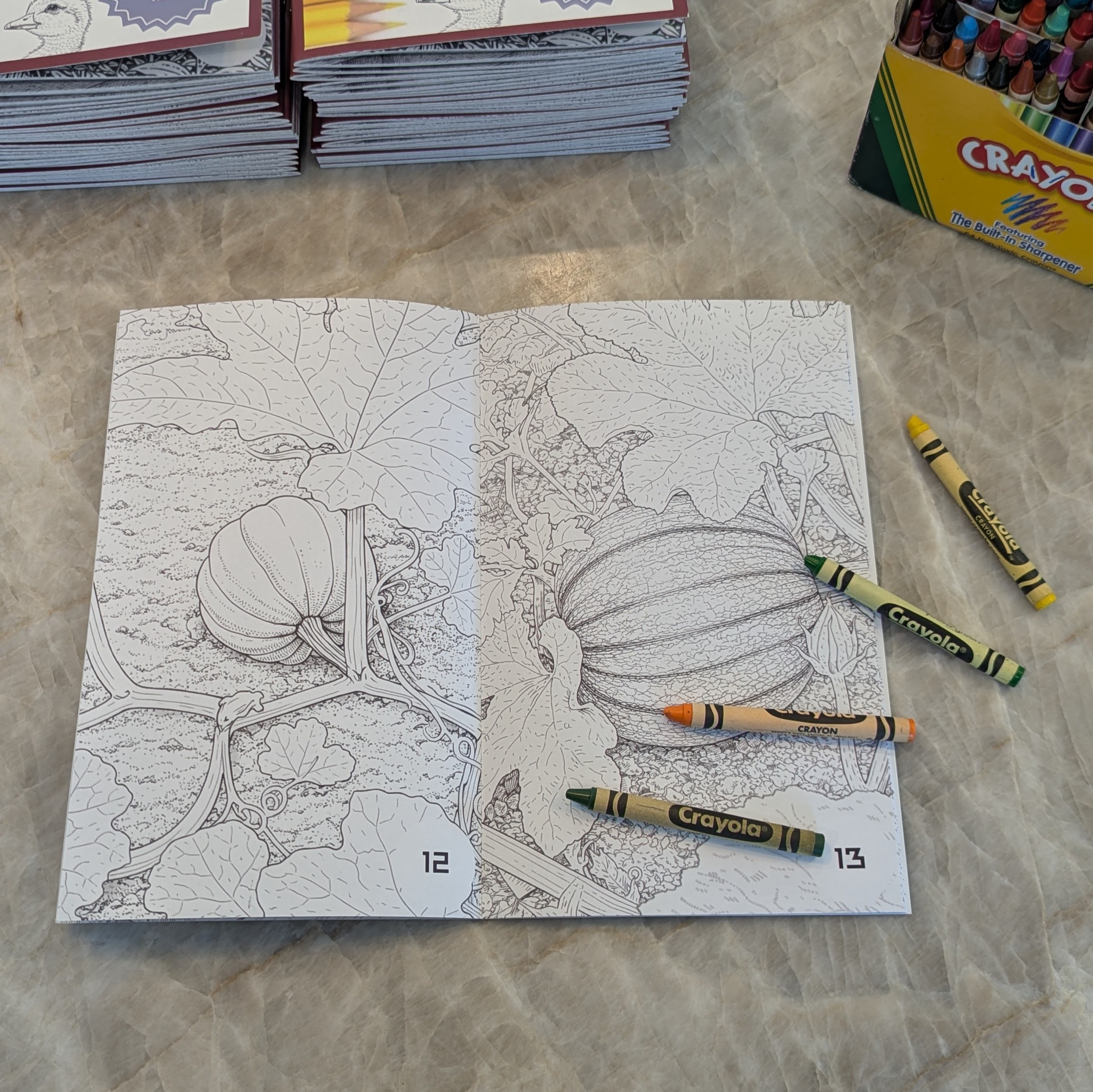 Coloring Book